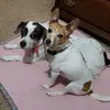 tracyrademacher - @tracyrademacher - TikTok