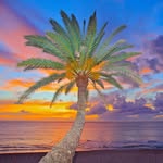 Tracy Rader - @tracyraderphotography - Instagram