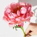 Tracy Ruan - Facebook