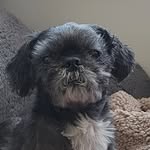 Tracy Raine - @tracyr2110 - Instagram