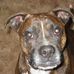 Tracy Rainey - Facebook