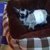 Tracy Rainey - Facebook
