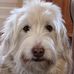 Tracy Carmichael Rand - Facebook