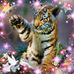 Tracy Rand - Facebook