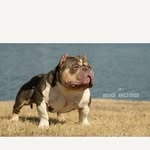 Ransom TracynJason - @tracyransom9 - Instagram