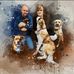 Tracy Ratliff - Facebook