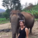 Tracy Rauk - @tracyrauk - Instagram
