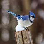 Tracy Raymond - @tracy.raymond.77 - Instagram