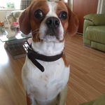 Tracy Rees - @tracy.rees.3110 - Instagram