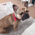 Tracy Rees - @tracy.rees.7334 - Instagram