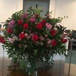 Tracey Renfro - @tracey.renfro - Instagram