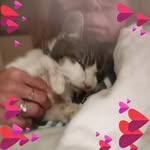 Tracy Short-Reno - @tracy.short.7359 - Instagram