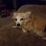 Tracy Rider - @tracyrider4 - Instagram