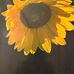 Tracy Wilcox Riehl - Facebook