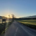Tracy Williams-Riehl - @tracyriehl - Instagram