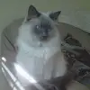 tracyriehl630 - @tracyriehl630 - TikTok