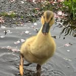 Tracey Risner Reeser - @risnerreeser - Instagram