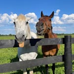 Tracy Risner McGinnis - @tmcginnis72 - Instagram