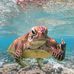 Tracy Ritchie - Facebook