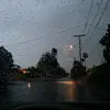 tracy_rivera🐾 - @rivera.tracy - TikTok