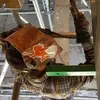 Tracy Robles692 - @tracyrobles692 - TikTok