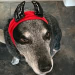 Tracy Roche - @tracyroche5 - Instagram