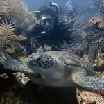 Tracy Rock - @tracyrock57 - Instagram