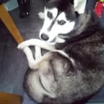 Tracy Rock - @tracyrock197 - Instagram