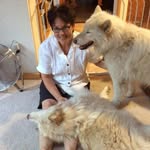 Tracy Rockwell - @tracy.rockwell.777 - Instagram