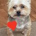 Tracey Rolfe - Facebook