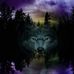 Tracey Rolfe - Facebook
