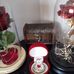 Tracey Rolfe - Facebook