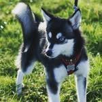 Tracy Rolfe - @tracyrolfe9276 - Instagram