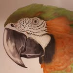 Tracy Rolfe - @cazadores666 - Instagram
