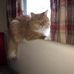 Tracy Rolfe - Facebook