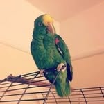 Tracy Rolfe - @tracyrolfe4 - Instagram