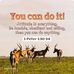 Tracy Rolle - Facebook