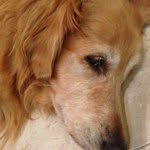 Tracy Rosner - @tuss55 - Instagram