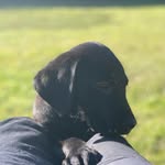 Tracy Rosser - @tracyrosser1971 - Instagram