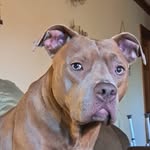 Traci Phillips Rowlett - @tracirowlett - Instagram