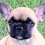 Tracy Rowlett - @tracyrowlett - Instagram