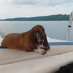 Tracy Harris - @tracyroyce1965 - Instagram