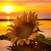 Tracy Rucker - Facebook