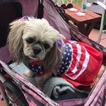 Tracy Rudnick - @tracyrudnick - Instagram