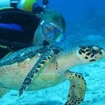 Tracy Rudnicki - @tracyrudnicki - Instagram