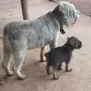 Tracy Russ - @2181167878 - TikTok