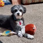 Tracy Russ - @tracyaruss - Instagram
