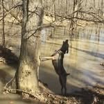 Tracy Rust - @tracyrust6 - Instagram