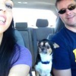 Tracy Sain Bryan Blevins - @tracylynnsaindesigns - Instagram