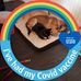 Tracy Sams - Facebook